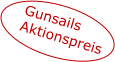 Gunsails Aktionspreis
